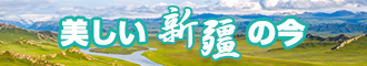 九哥曹碧网站新疆banner-w330n60.jpg